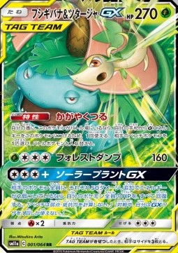 Venusaur & Snivy GX (sm11a 001)